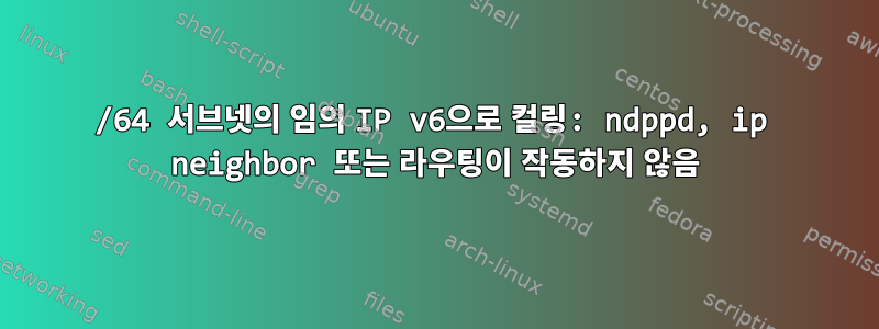 /64 서브넷의 임의 IP v6으로 컬링: ndppd, ip neighbor 또는 라우팅이 작동하지 않음