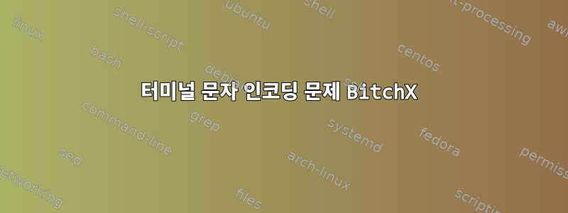 터미널 문자 인코딩 문제 BitchX