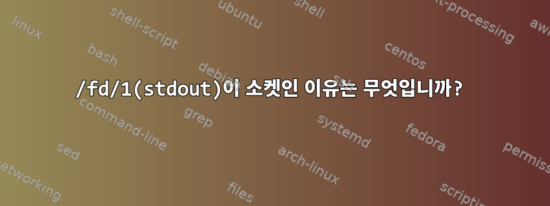 /fd/1(stdout)이 소켓인 이유는 무엇입니까?