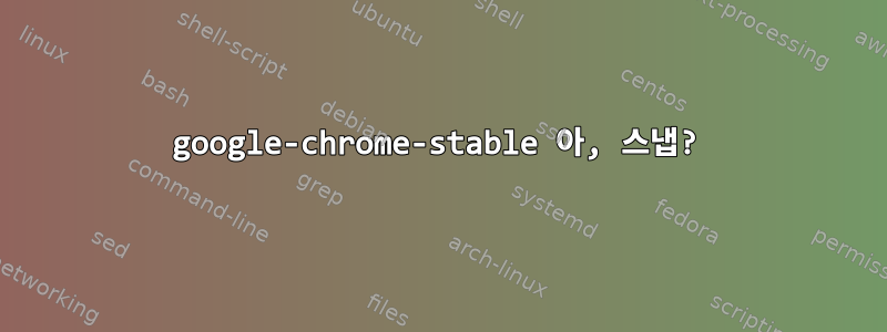 google-chrome-stable 아, 스냅?