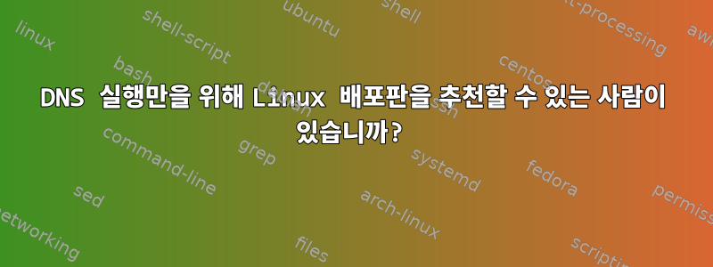 DNS 실행만을 위해 Linux 배포판을 추천할 수 있는 사람이 있습니까?