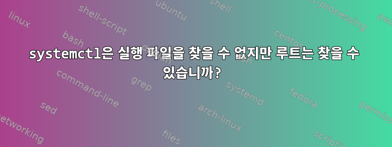 systemctl은 실행 파일을 찾을 수 없지만 루트는 찾을 수 있습니까?