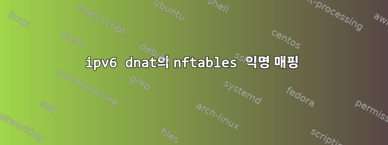 ipv6 dnat의 nftables 익명 매핑