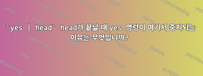 `yes | head` head가 끝날 때 yes 명령이 여기서 중지되는 이유는 무엇입니까?