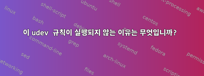 이 udev 규칙이 실행되지 않는 이유는 무엇입니까?