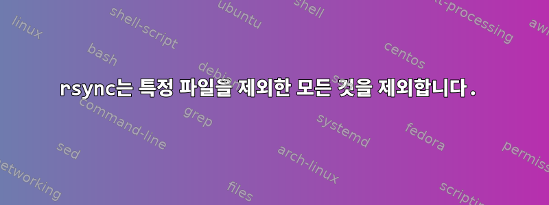 rsync는 특정 파일을 제외한 모든 것을 제외합니다.