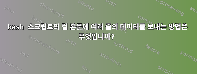 bash 스크립트의 컬 본문에 여러 줄의 데이터를 보내는 방법은 무엇입니까?