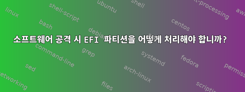 소프트웨어 공격 시 EFI 파티션을 어떻게 처리해야 합니까?