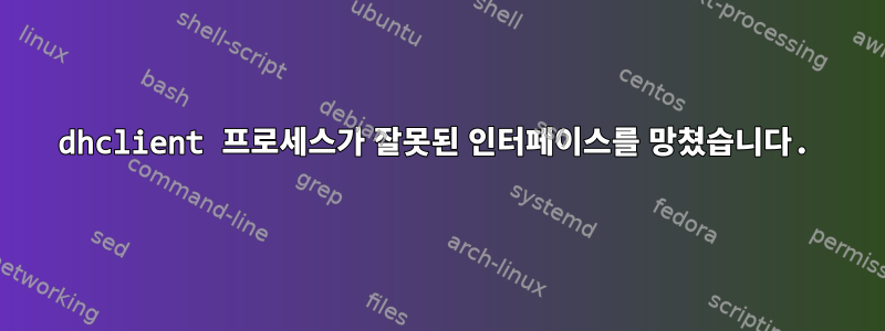 dhclient 프로세스가 잘못된 인터페이스를 망쳤습니다.