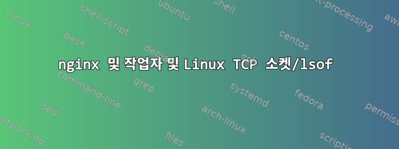 nginx 및 작업자 및 Linux TCP 소켓/lsof