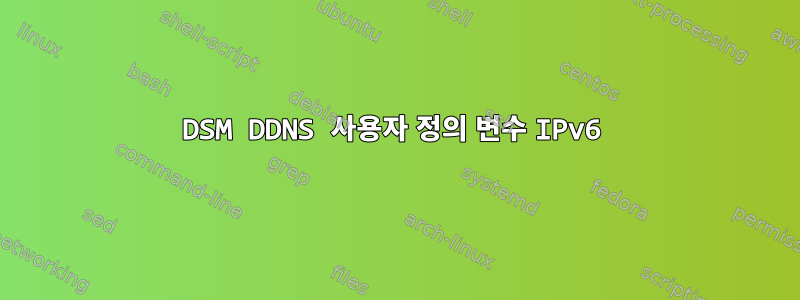 DSM DDNS 사용자 정의 변수 IPv6