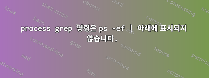 process grep 명령은 ps -ef | 아래에 표시되지 않습니다.