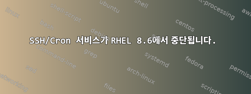 SSH/Cron 서비스가 RHEL 8.6에서 중단됩니다.