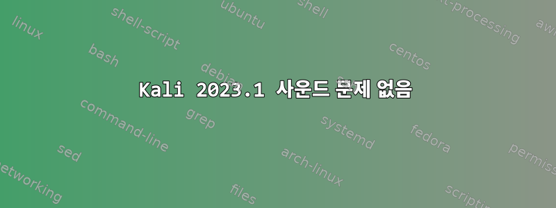 Kali 2023.1 사운드 문제 없음