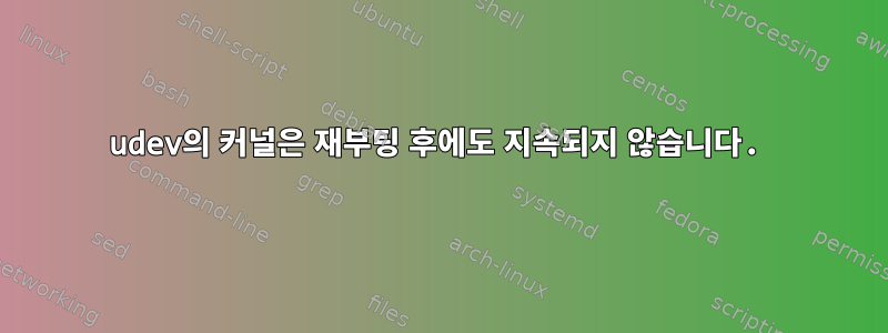 udev의 커널은 재부팅 후에도 지속되지 않습니다.