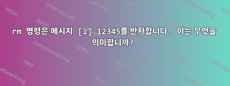 rm 명령은 메시지 [1] 12345를 반환합니다. 이는 무엇을 의미합니까?