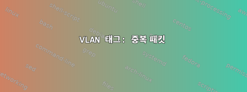 VLAN 태그: 중복 패킷