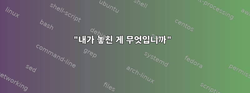 "내가 놓친 게 무엇입니까"