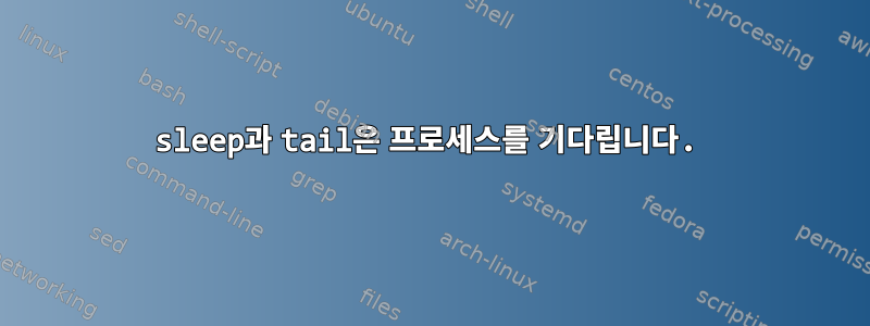 sleep과 tail은 프로세스를 기다립니다.