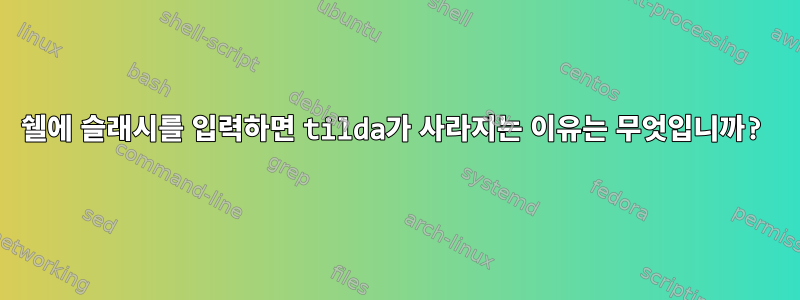 쉘에 슬래시를 입력하면 tilda가 사라지는 이유는 무엇입니까?