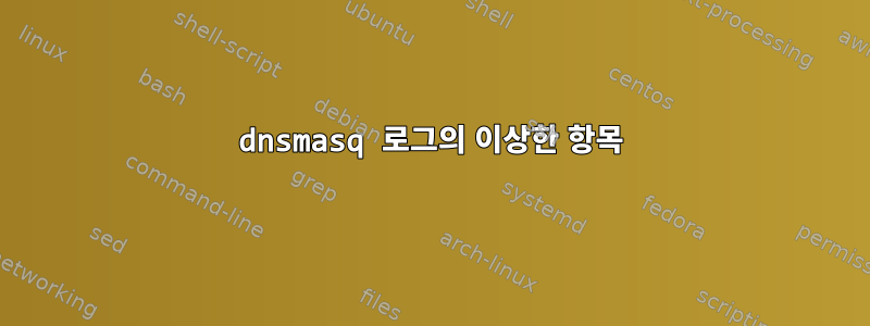 dnsmasq 로그의 이상한 항목