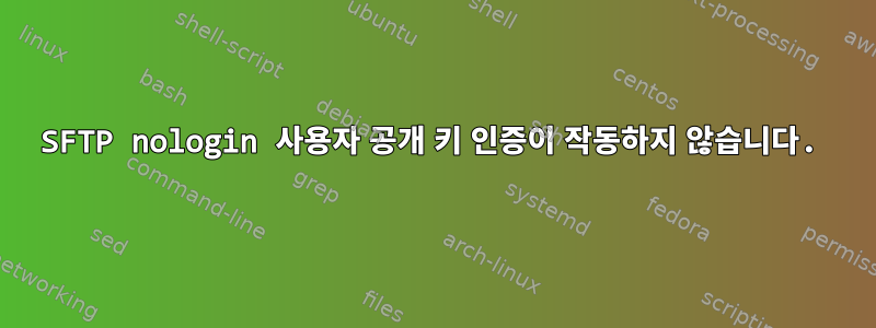 SFTP nologin 사용자 공개 키 인증이 작동하지 않습니다.