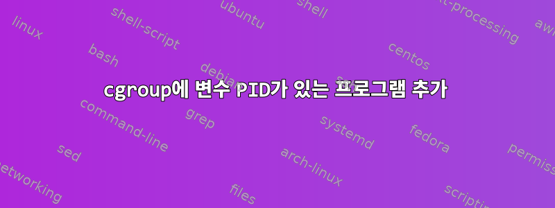 cgroup에 변수 PID가 있는 프로그램 추가