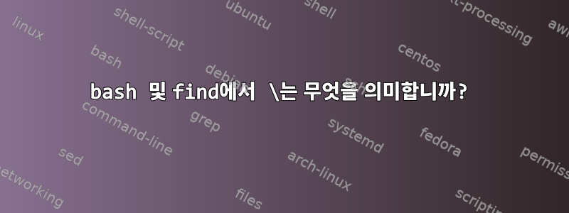 bash 및 find에서 \는 무엇을 의미합니까?