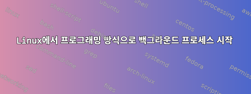 Linux에서 프로그래밍 방식으로 백그라운드 프로세스 시작