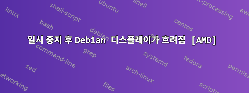 일시 중지 후 Debian 디스플레이가 흐려짐 [AMD]