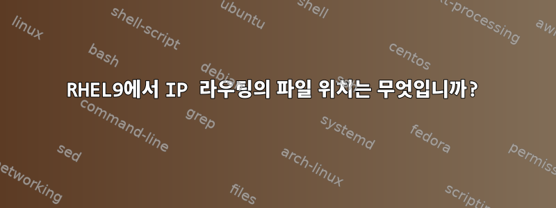 RHEL9에서 IP 라우팅의 파일 위치는 무엇입니까?