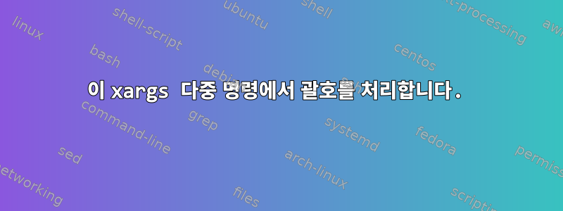 이 xargs 다중 명령에서 괄호를 처리합니다.