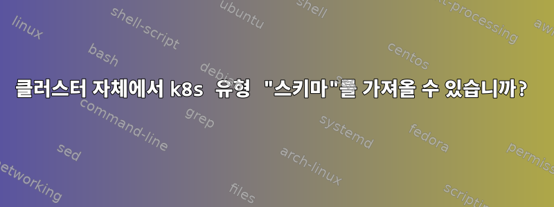 클러스터 자체에서 k8s 유형 "스키마"를 가져올 수 있습니까?