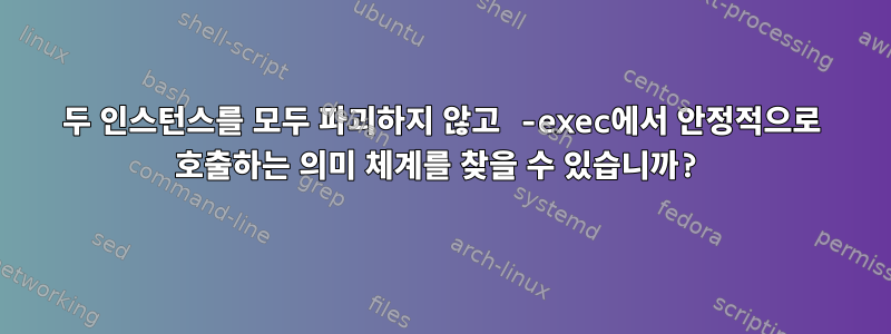 두 인스턴스를 모두 파괴하지 않고 -exec에서 안정적으로 호출하는 의미 체계를 찾을 수 있습니까?