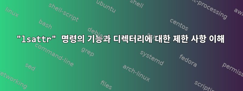 "lsattr" 명령의 기능과 디렉터리에 대한 제한 사항 이해