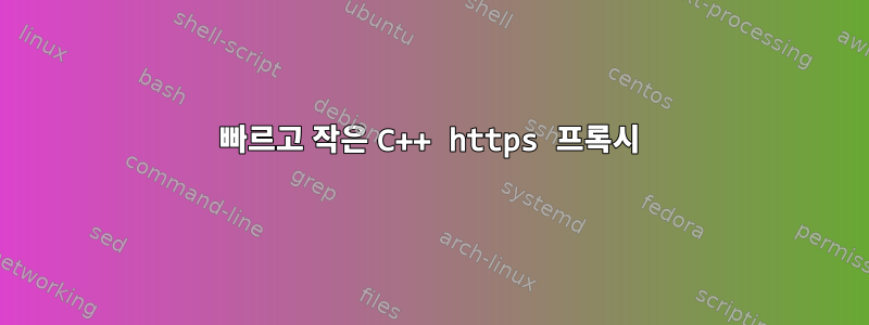 빠르고 작은 C++ https 프록시