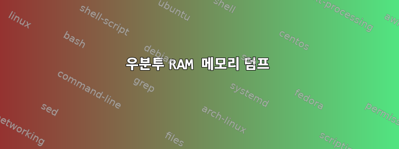 우분투 RAM 메모리 덤프