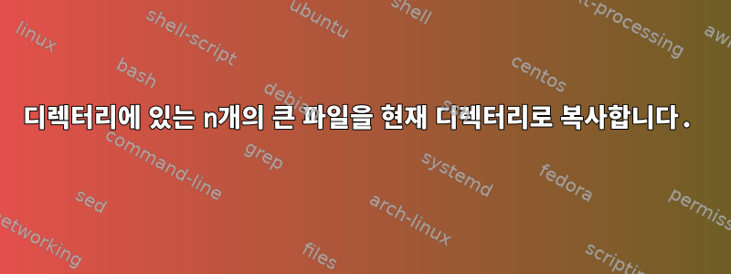 디렉터리에 있는 n개의 큰 파일을 현재 디렉터리로 복사합니다.