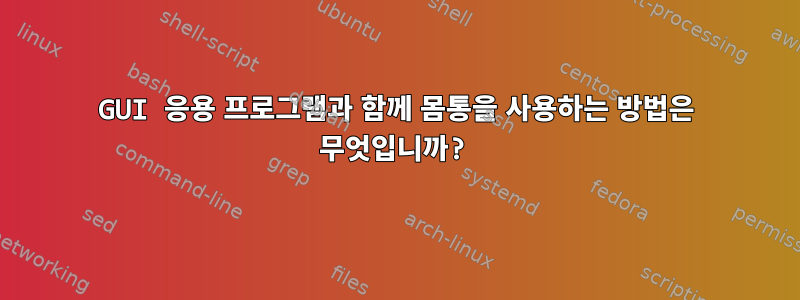 GUI 응용 프로그램과 함께 몸통을 사용하는 방법은 무엇입니까?