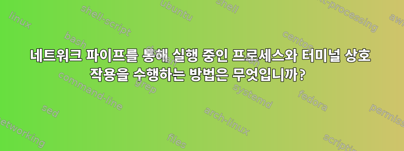 네트워크 파이프를 통해 실행 중인 프로세스와 터미널 상호 작용을 수행하는 방법은 무엇입니까?