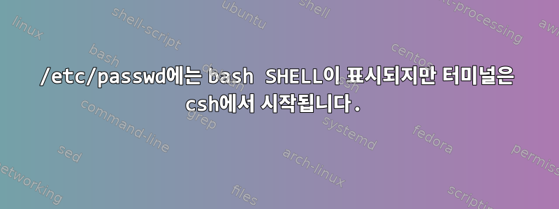 /etc/passwd에는 bash SHELL이 표시되지만 터미널은 csh에서 시작됩니다.