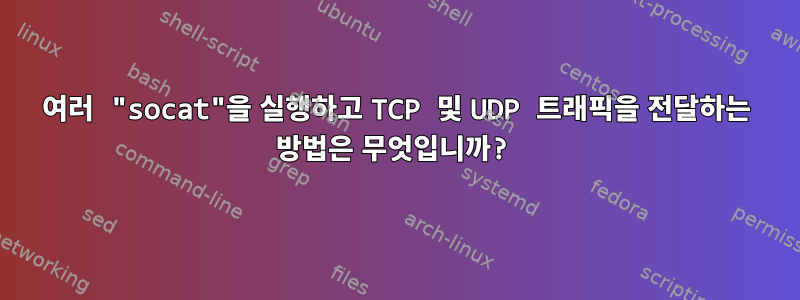 여러 "socat"을 실행하고 TCP 및 UDP 트래픽을 전달하는 방법은 무엇입니까?