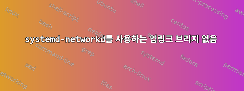 systemd-networkd를 사용하는 업링크 브리지 없음