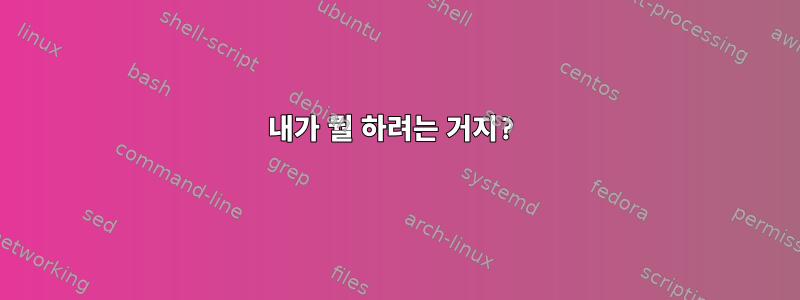 내가 뭘 하려는 거지?