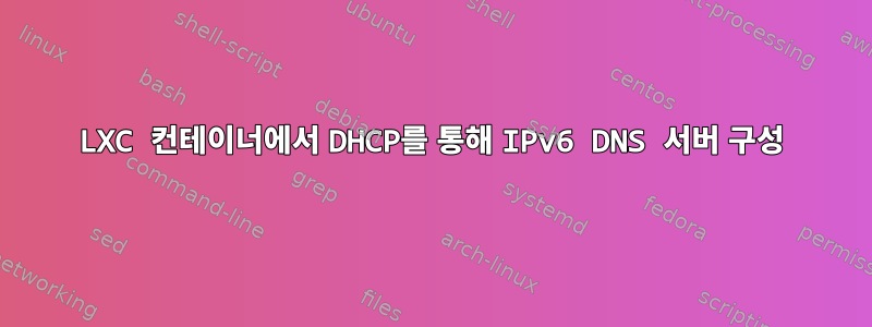 LXC 컨테이너에서 DHCP를 통해 IPv6 DNS 서버 구성