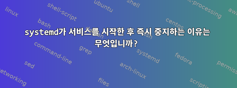 systemd가 서비스를 시작한 후 즉시 중지하는 이유는 무엇입니까?