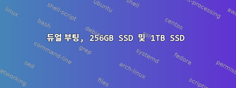 듀얼 부팅, 256GB SSD 및 1TB SSD