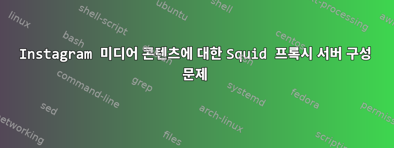 Instagram 미디어 콘텐츠에 대한 Squid 프록시 서버 구성 문제