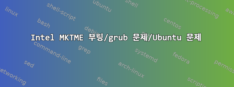 Intel MKTME 부팅/grub 문제/Ubuntu 문제