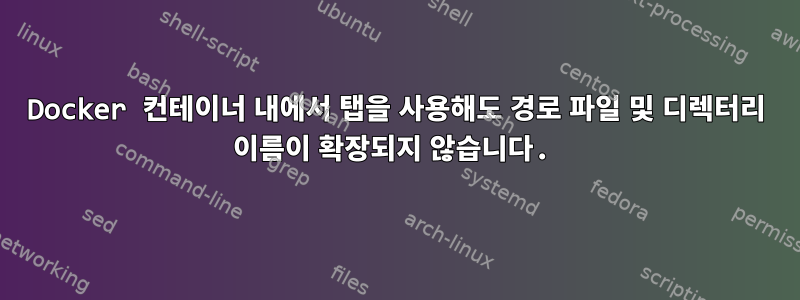 Docker 컨테이너 내에서 탭을 사용해도 경로 파일 및 디렉터리 이름이 확장되지 않습니다.